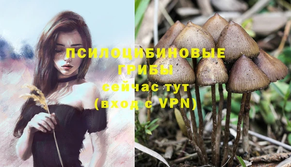 наркотики Абинск