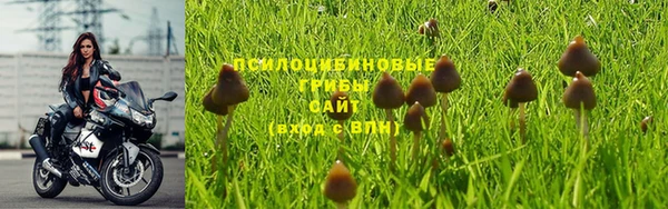 спиды Алексеевка