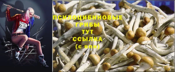 ГАЛЛЮЦИНОГЕННЫЕ ГРИБЫ Абдулино