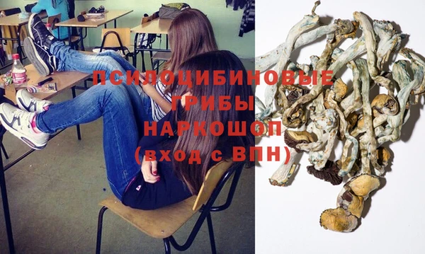 ГАЛЛЮЦИНОГЕННЫЕ ГРИБЫ Абдулино