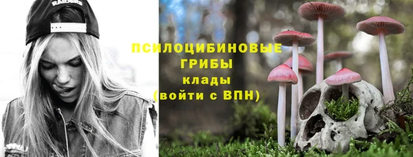 ECSTASY Алексин
